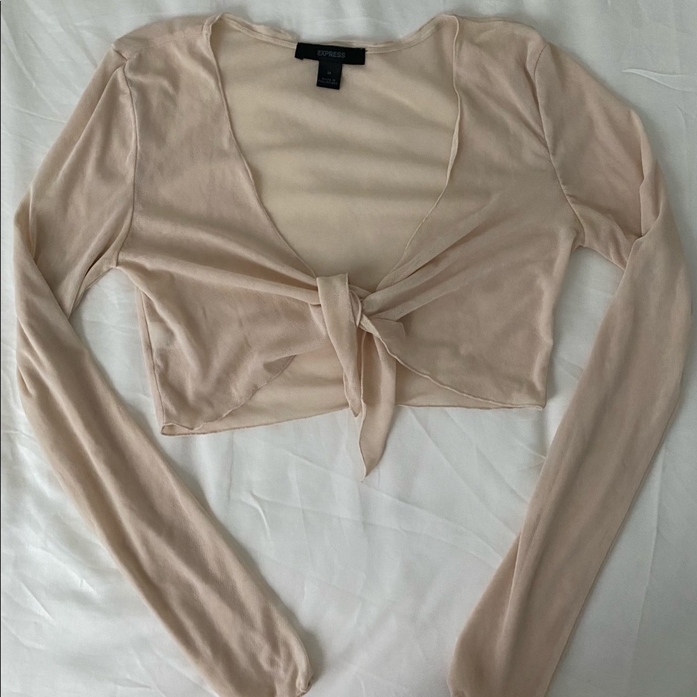 Arielle Sheer Coverup EXPRESS